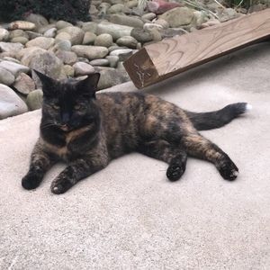 Meet your Posher, Cynthia